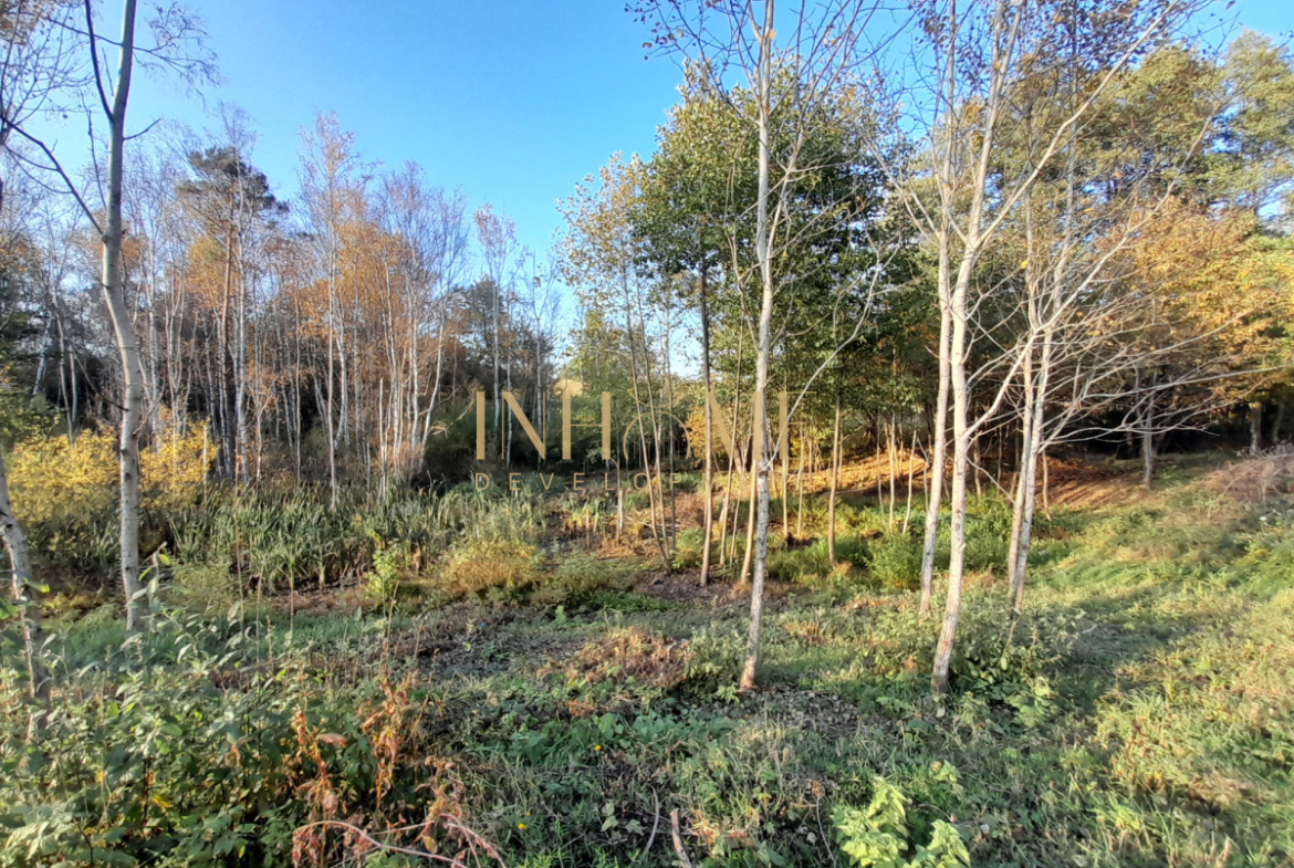 Piękna działka ze zbiornikiem wodnym | Okazja - Gallery Image 4