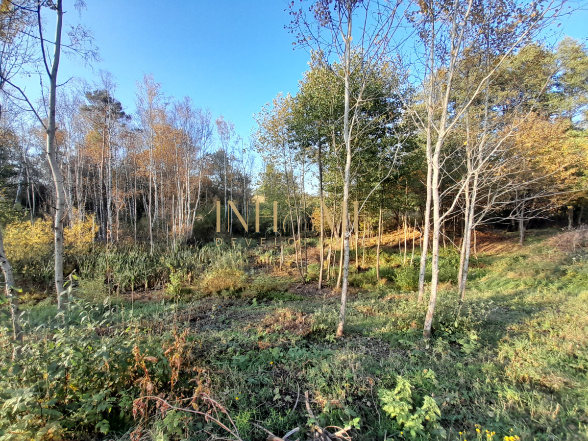 Piękna działka ze zbiornikiem wodnym | Okazja - Gallery Image 4