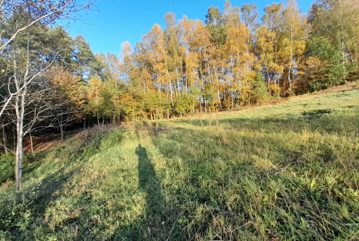 Piękna działka ze zbiornikiem wodnym | Okazja - Gallery Image 5