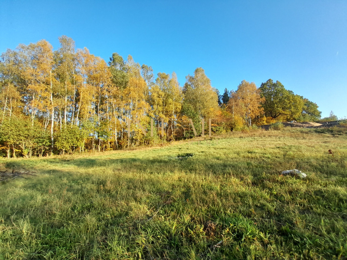 Piękna działka ze zbiornikiem wodnym | Okazja - Gallery Image 6