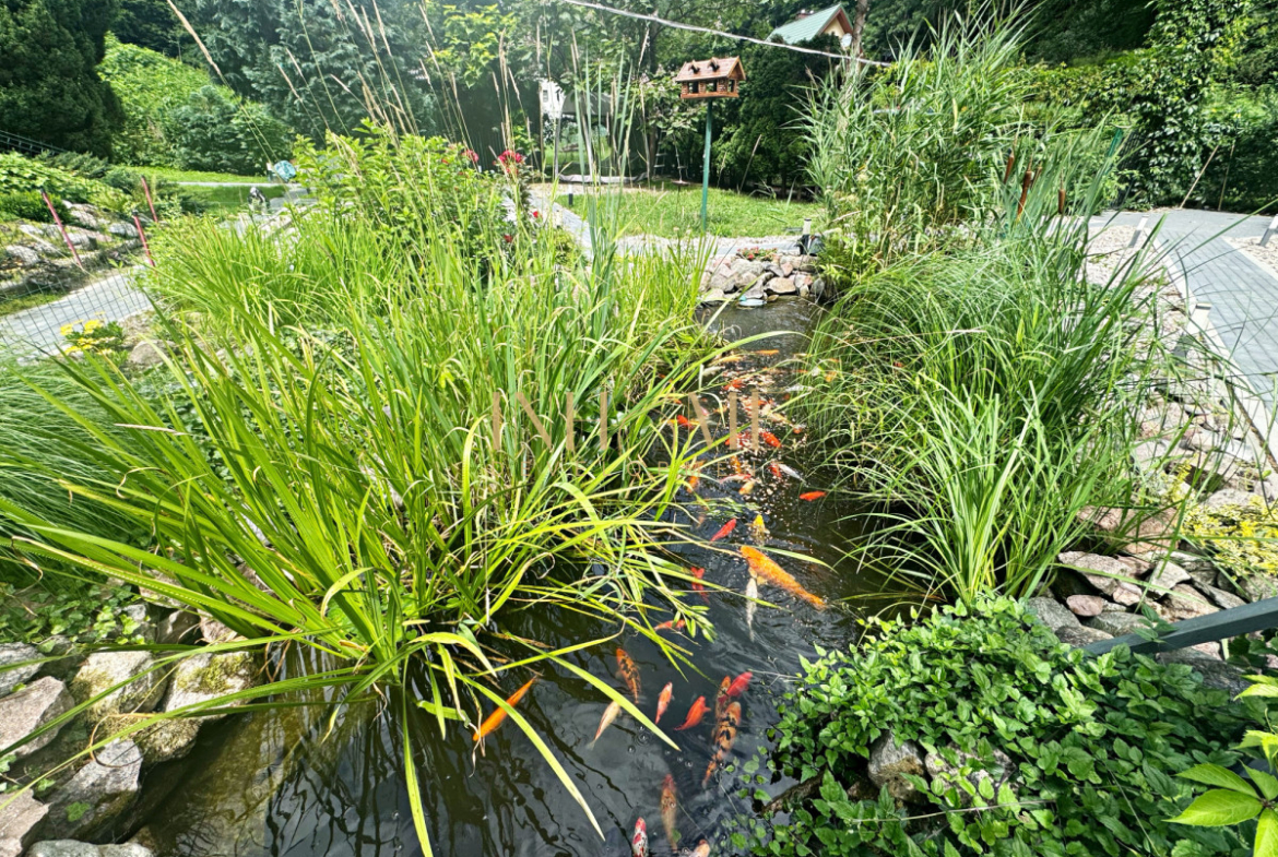 Dom w otoczeniu lasu – wyjątkowe miejsce! - Gallery Image 19